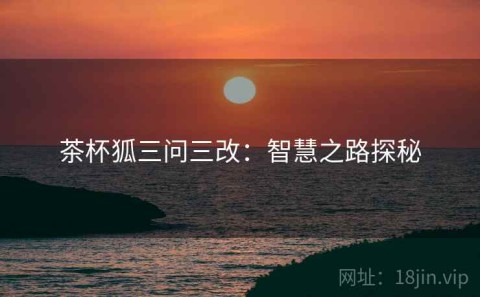 茶杯狐三问三改：智慧之路探秘