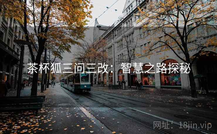 茶杯狐三问三改：智慧之路探秘