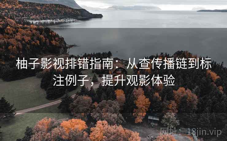 柚子影视排错指南:从查传播链到标注例子,提升观影体验 柚子影视排错指南:从查传播链到标注例子,提升观影体验