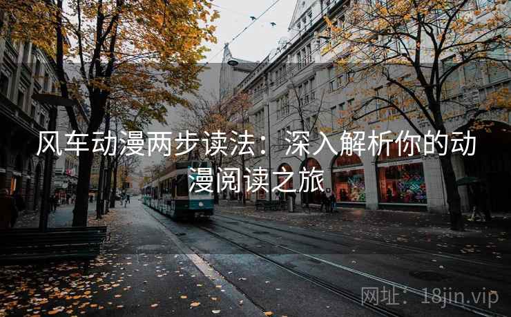 风车动漫两步读法：深入解析你的动漫阅读之旅
